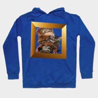 3d monkey face Hoodie